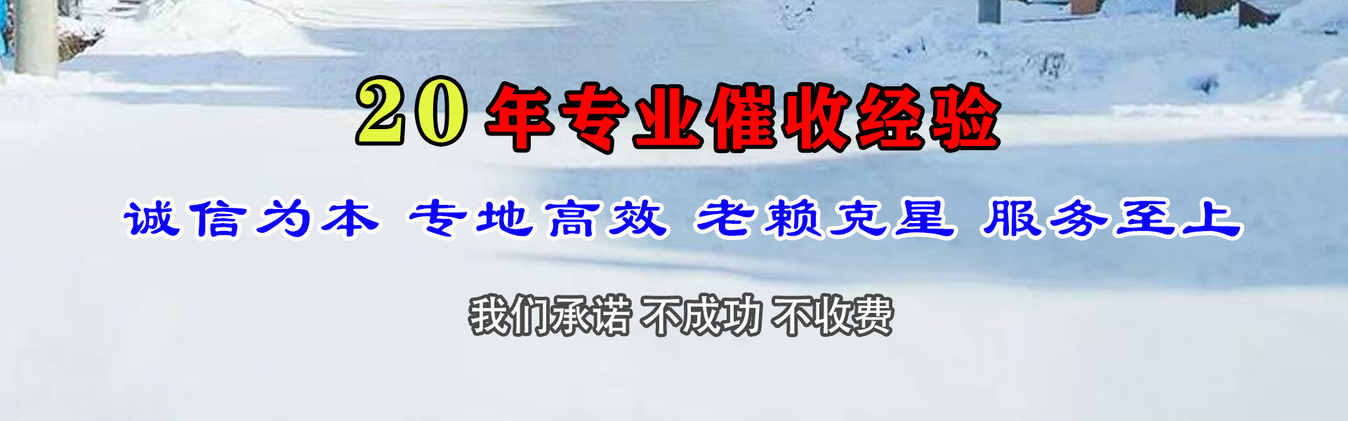 临清清债公司
